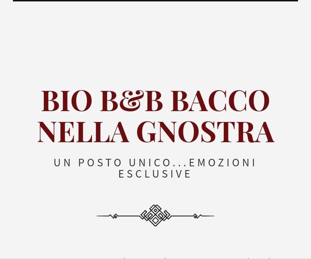 Bio B&B Bacco Nella Gnostra Altamura Kültér fotó